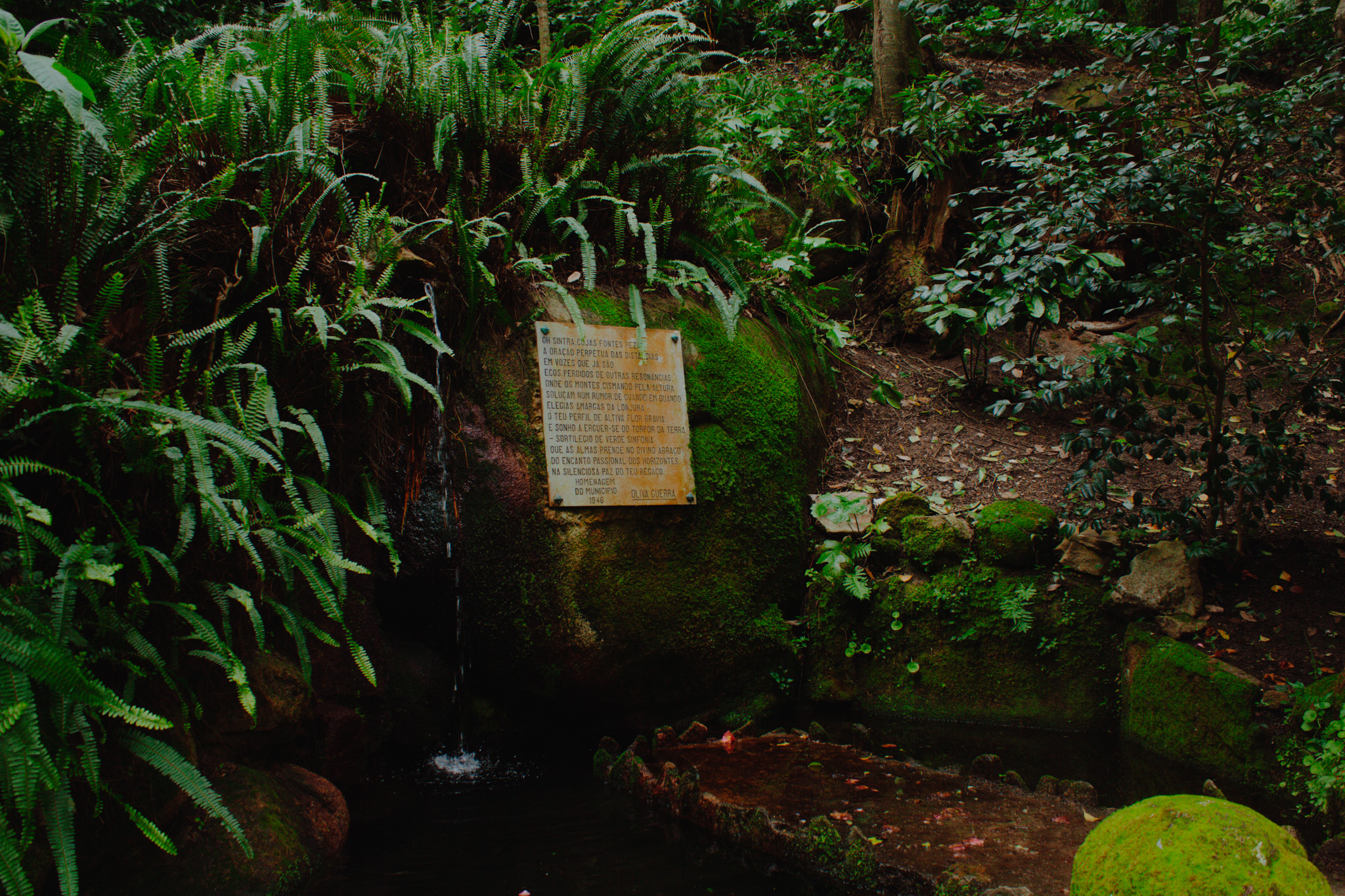 Sintra's Silent Prayer